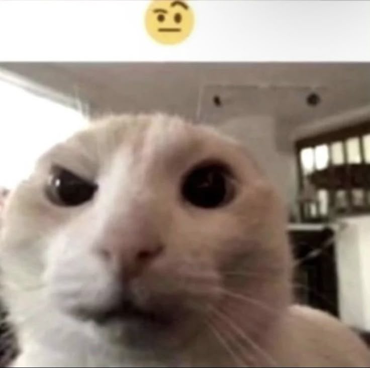 ًbisexual crowley ☆ tweet media