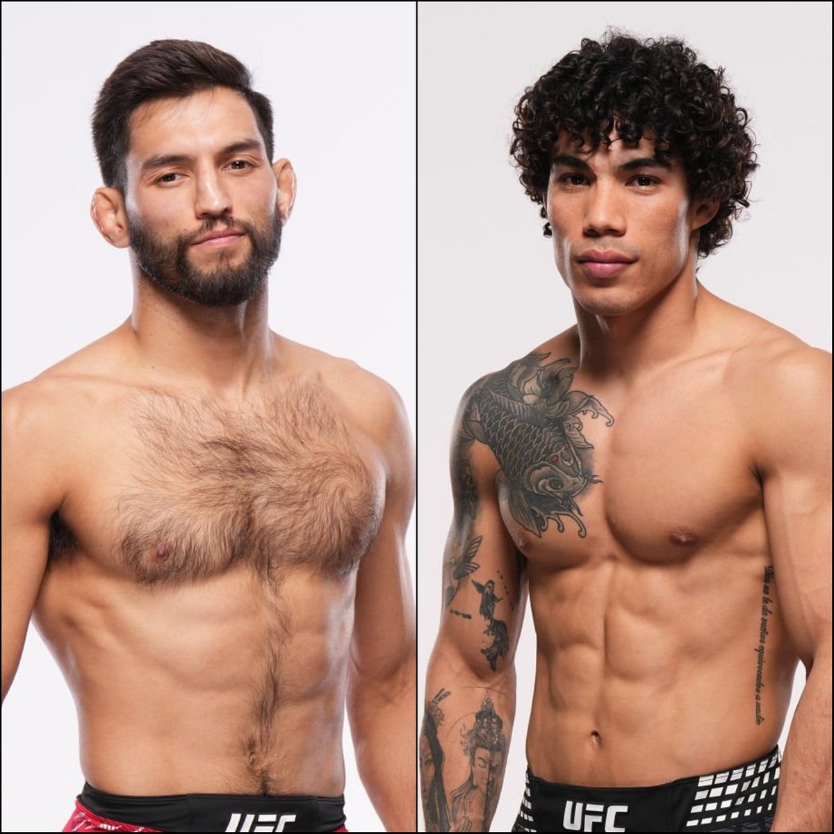 Marcel Dorff 🇳🇱🇮🇩 tweet media