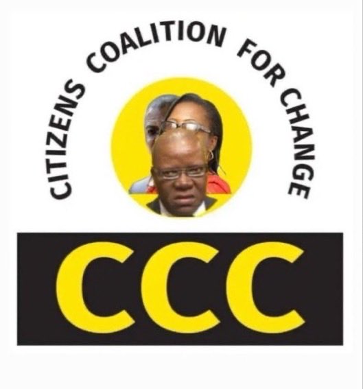 Goromigo tweet media