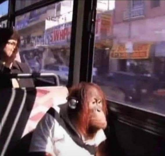 julietaacaselli's tweet photo. yo esperando esto mientras viajaba en el bondi lleno de tufo asi https://t.co/QPhP1ttFDH
