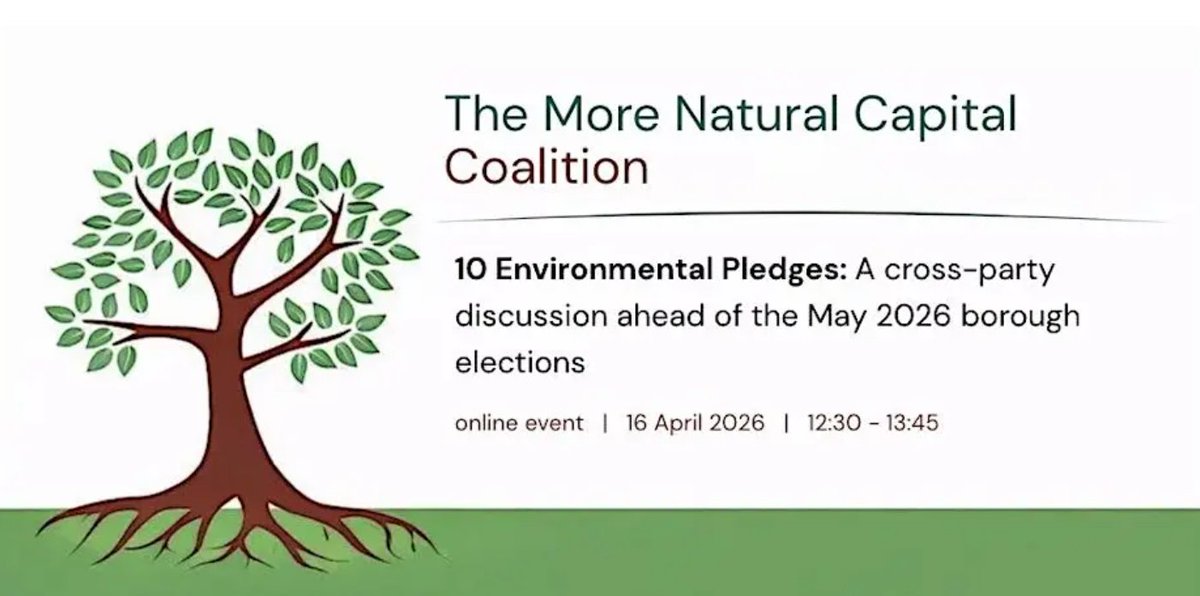 Bridget Fox tweet media