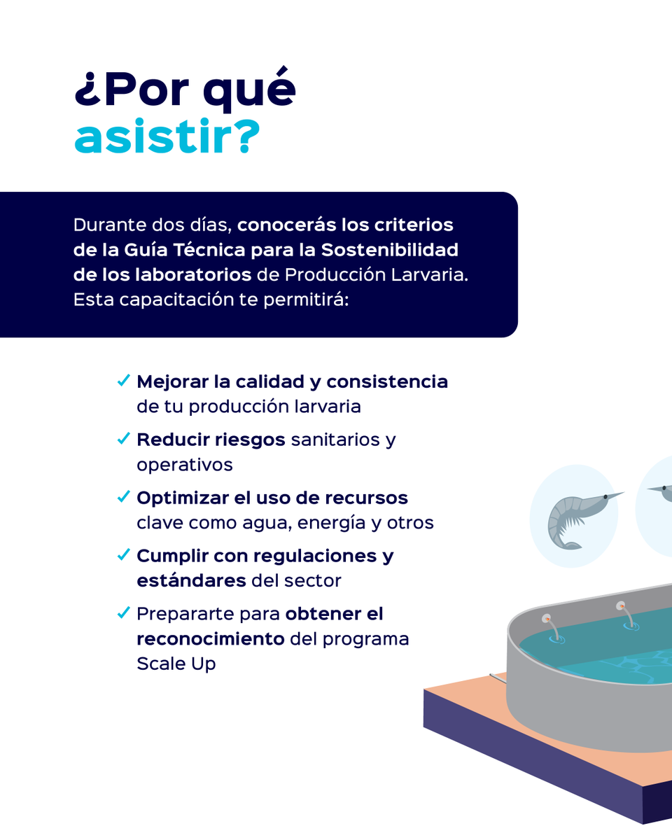 SustainableShrimp tweet media