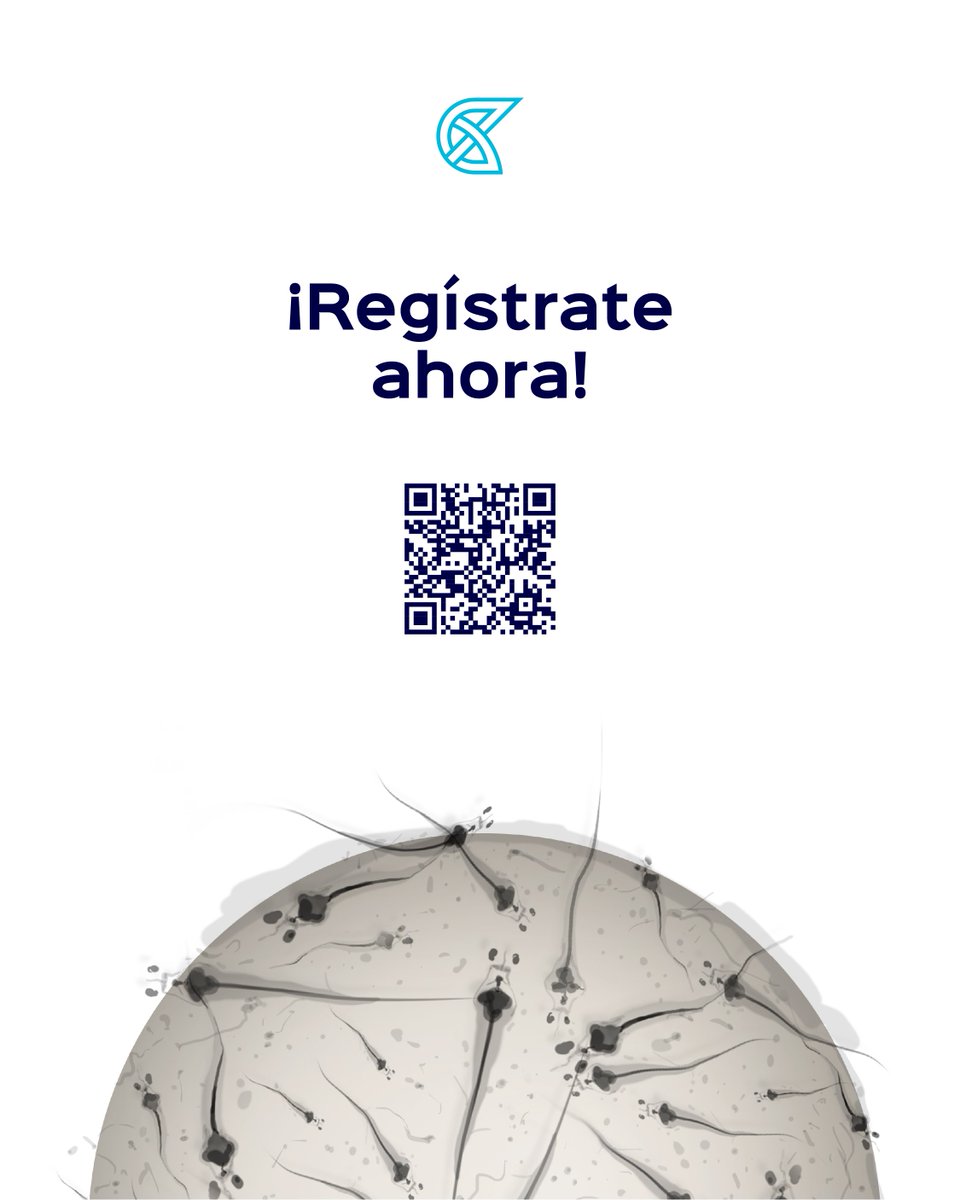 SustainableShrimp tweet media