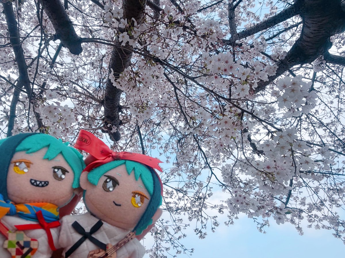 ⒶⓏ🐥 tweet media