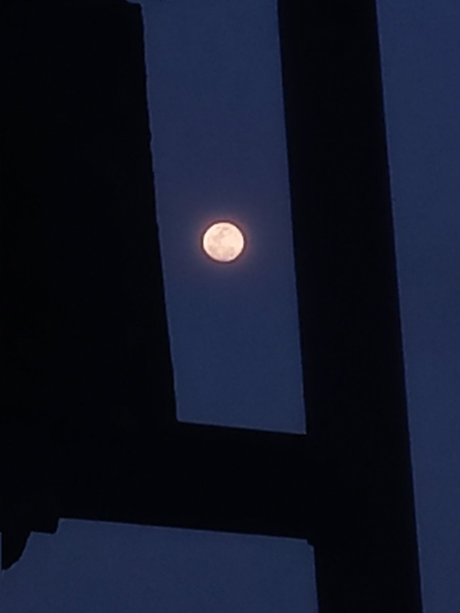 ✭Nσσɾ☆ tweet media