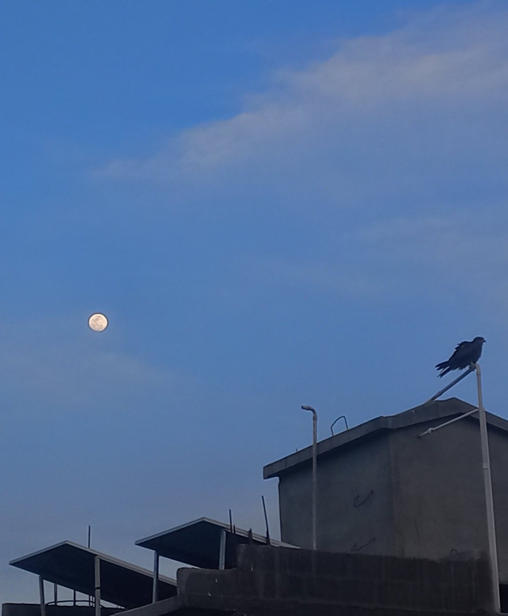 ✭Nσσɾ☆ tweet media