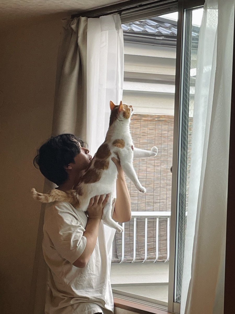 中村涼真 tweet media