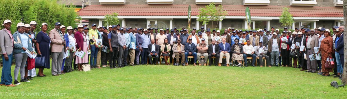 cerealgrowerske's tweet photo. The Cereal Growers Association (CGA) held its 27th Annual General Meeting (AGM) today in Nakuru, bringing together 126 farmers and stakeholders from major maize and wheat growing regions like #nakuru, #UasinGishu, #Narok, #laikipia, and #Bomet.

Led by CGA Chairman Stephanus Kruger, Board Secretary Anthony Kioko, and Board Members Prof. Miriam Kinyua, John Teeka, and Nahson Ngetich, the AGM served as a platform to review progress, adopt reports, and discuss pressing issues facing farmers. Key concerns included eTims challenges, high production costs, delayed input deliveries, taxation pressures, and falling wheat prices due to cheaper imports. 

Farmers stressed the need for stronger advocacy, better production data, and unity through cooperatives and contract farming. The meeting also addressed emerging risks like quelea bird invasions and changing crop patterns, highlighting the value of timely farmer feedback to shape policy. 

Members reaffirmed their commitment to working with CGA to tackle challenges and boost profitability for farmers.

CGA will continue to strengthen farmer capacity and champion policies that create a more enabling and competitive environment for Kenyan agriculture. Through forums such as the AGM, we not only reflect on progress but also align on practical, farmer-driven solutions to challenges around production, markets, and policy. These engagements remain critical in shaping a unified voice, guiding strategic action, and ensuring that the interests of farmers are effectively represented at all levels.

#TogetherWeGrow #cgaat30 #cgaagm