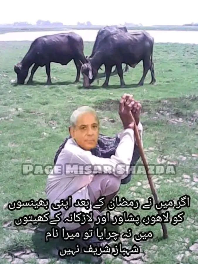 Tahir Haria1234 tweet media