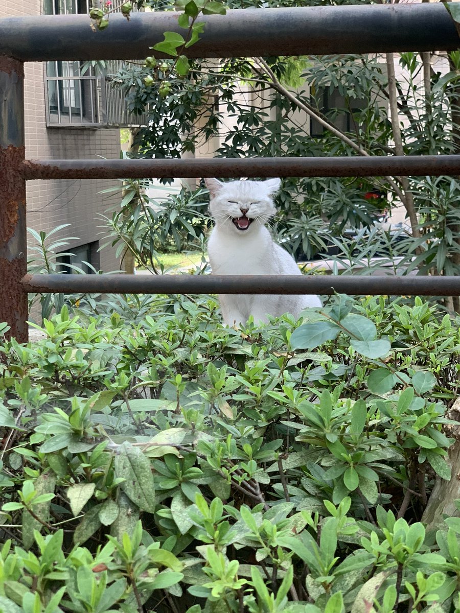 tiya（互fo） tweet media