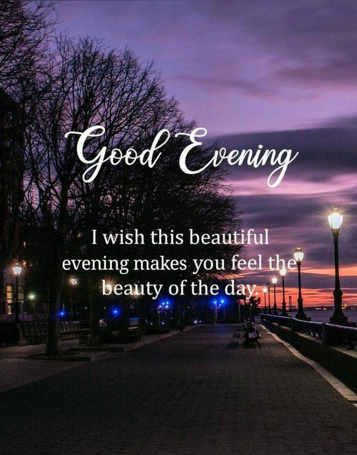 Malik Hameed tweet media