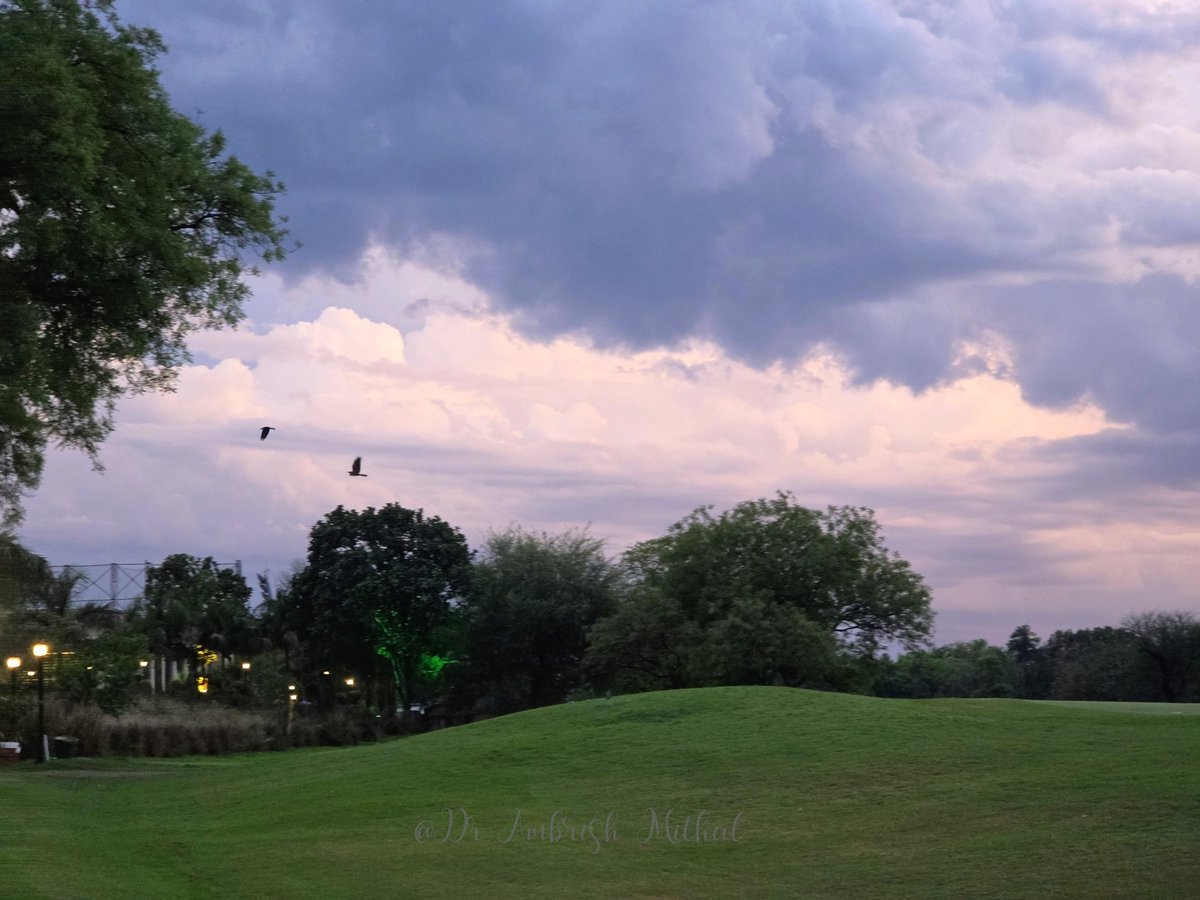 Dr Ambrish Mithal tweet media