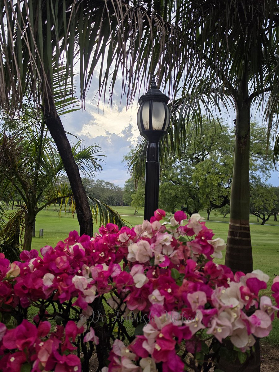 Dr Ambrish Mithal tweet media