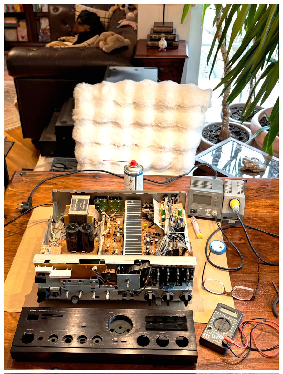 Gerhard Zeiler 🆔 tweet media