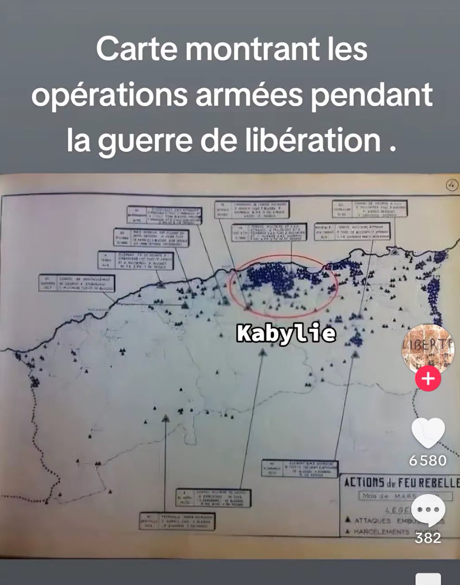 La Tefein ⚡️ 🇩🇿 tweet media