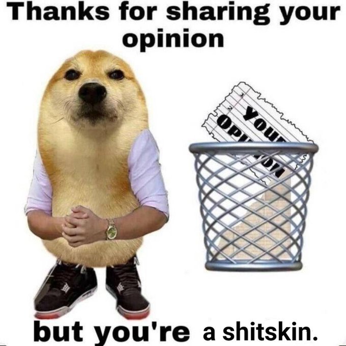 David Payne tweet media