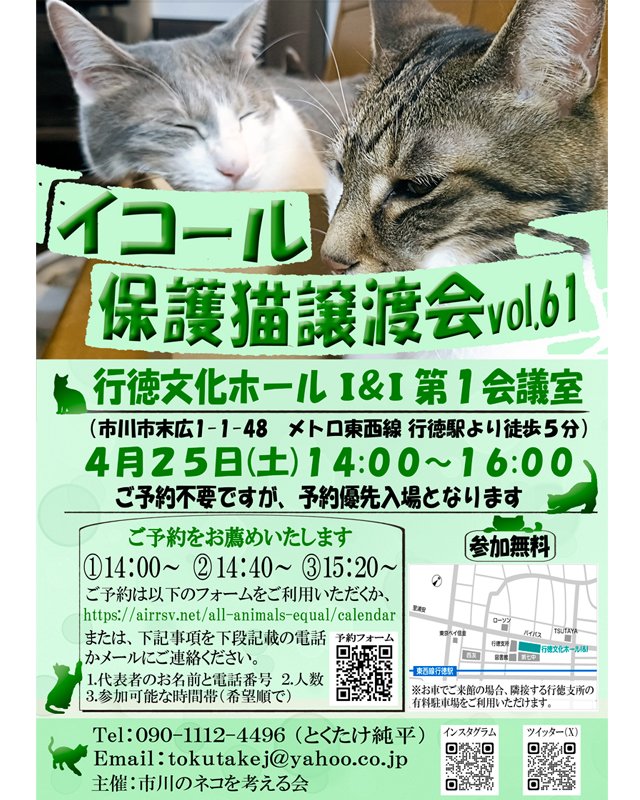 イコール保護猫譲渡会【５/２３（土）１４:００〜１６:００ 市川市 行徳文化ホールＩ＆Ｉ 第１会議室 tweet media