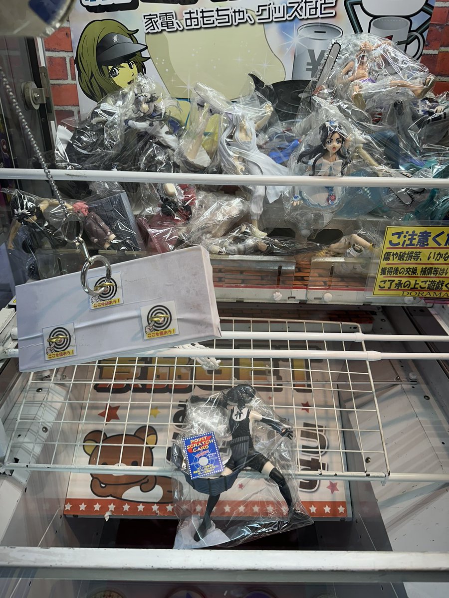 たちょかわ〜のアイランド🏝️ tweet media