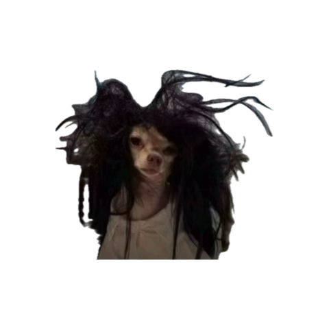 bafv07's tweet photo. Showed him her story since he wanna request her so bad https://t.co/z370RWLcno