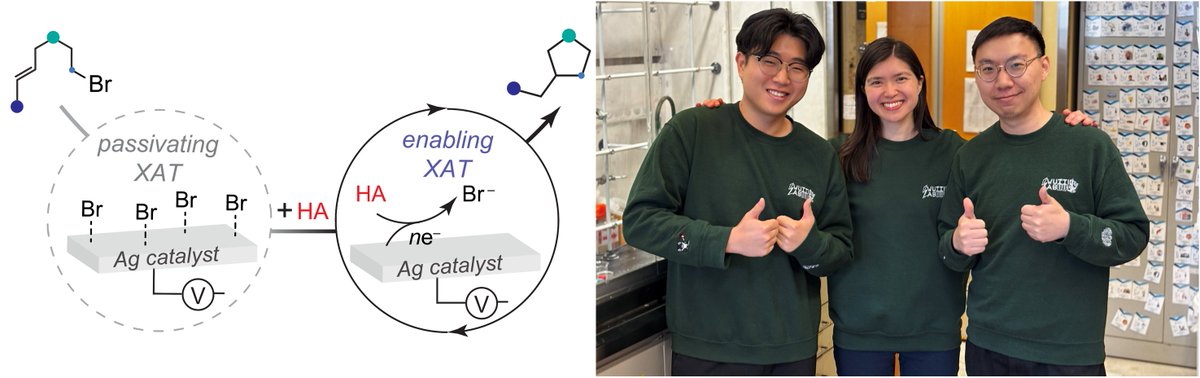 anna_wuttig's tweet photo. My lab’s next paper is out in JACS! Congrats to Taemin and Ching who discovered that Brønsted acids unlock mild interfacial catalytic halogen atom transfer at Ag electrodes! 

https://t.co/8xszEKeRxA https://t.co/YPaYfsb7OS