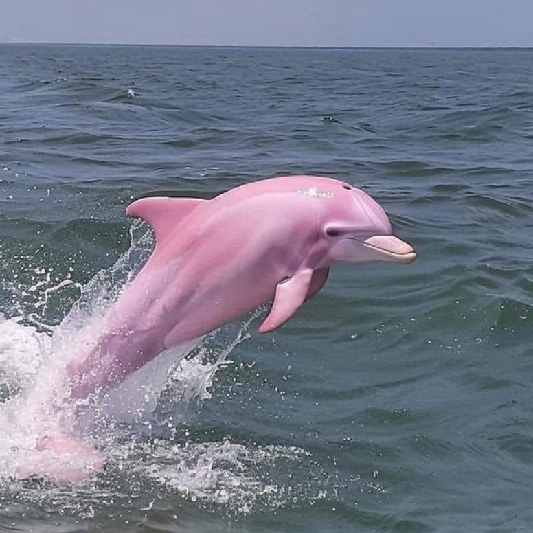 Night Sky Today tweet media