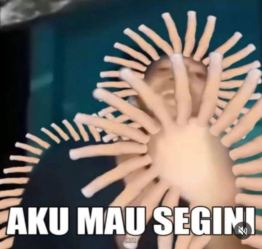 Fuu Cat (semi-ia) tweet media