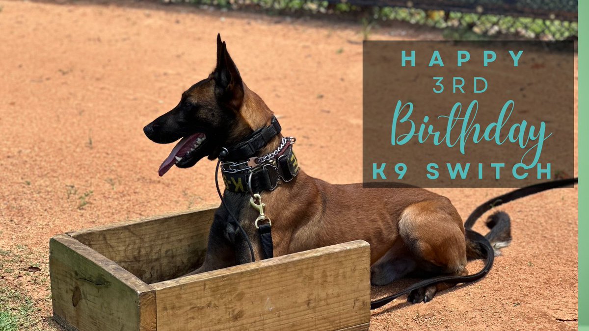 Miami PD tweet media