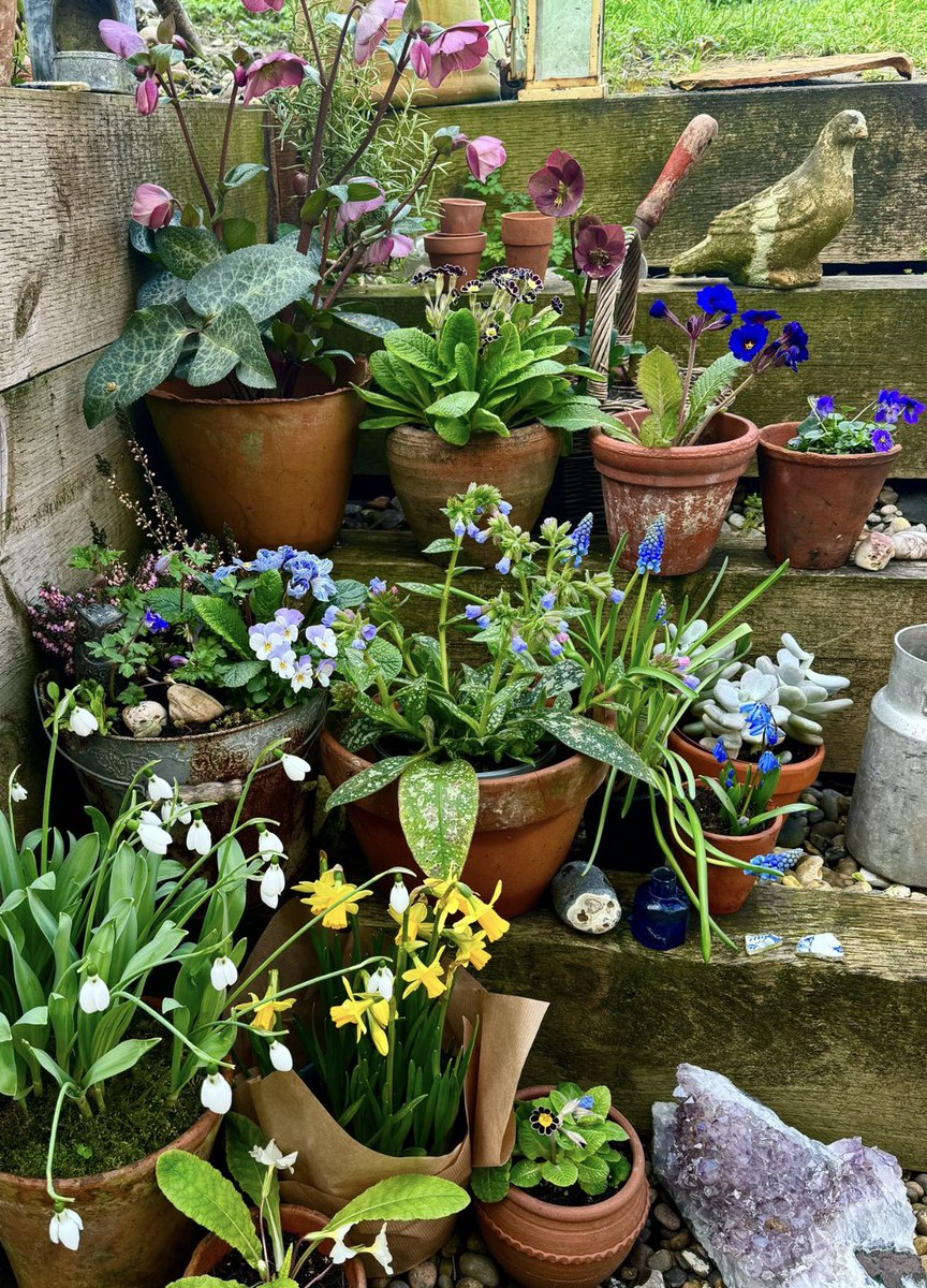 Emma Mitchell 💙 tweet media