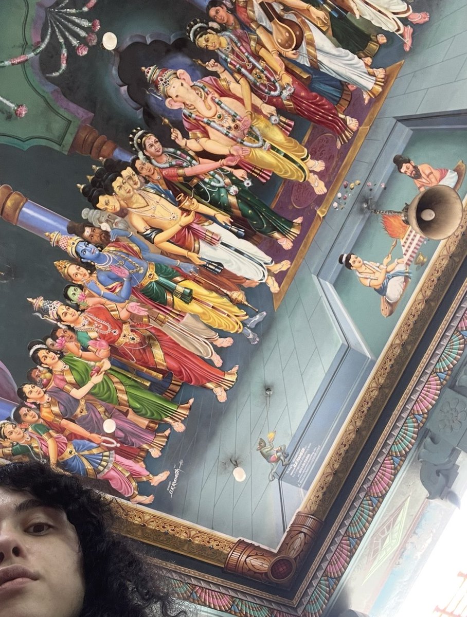 ana ⟡ cornevu tweet media