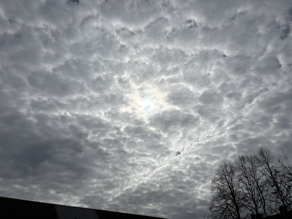 BassCabbieMan 🏴󠁧󠁢󠁥󠁮󠁧󠁿 🇬🇧 🇺🇸 tweet media