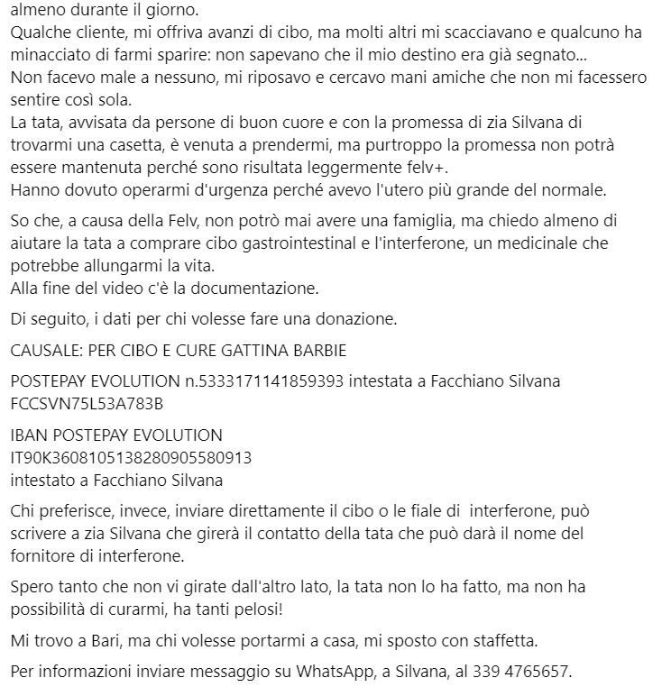 Qua la Zampa tweet media