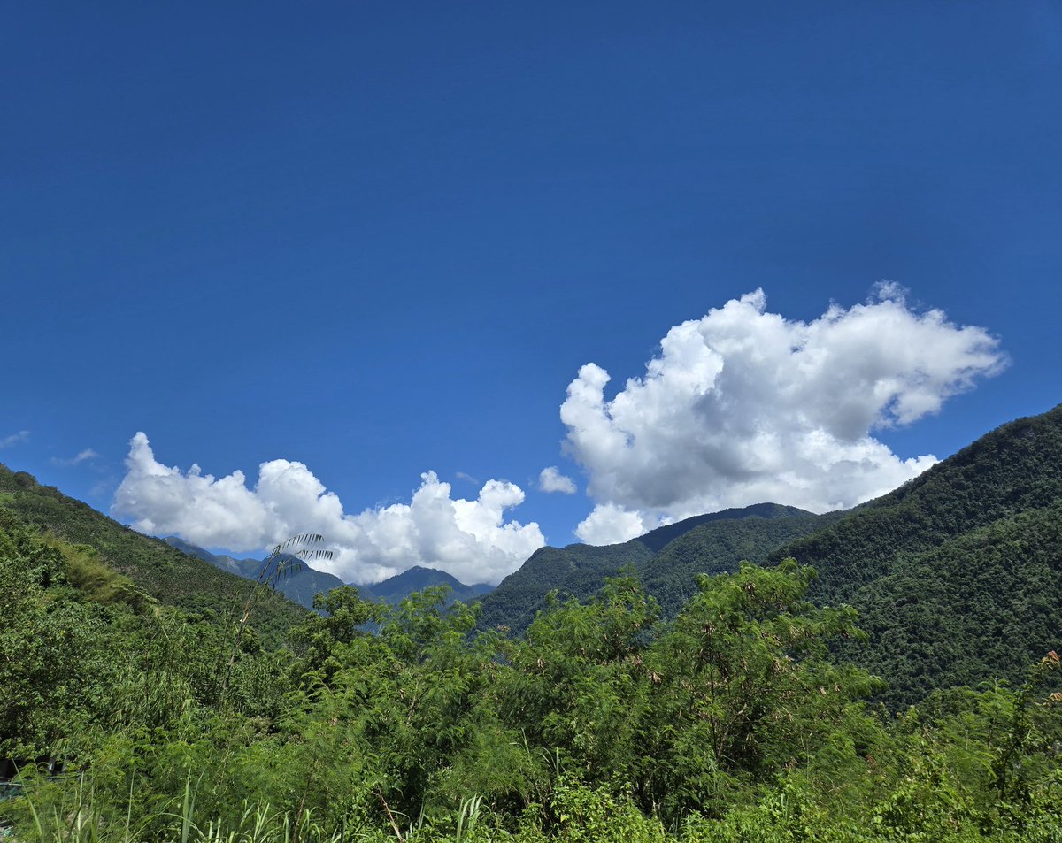 I took this picture during a field survey 
It was a good day☀️
#EscapeWithFellyCu2026