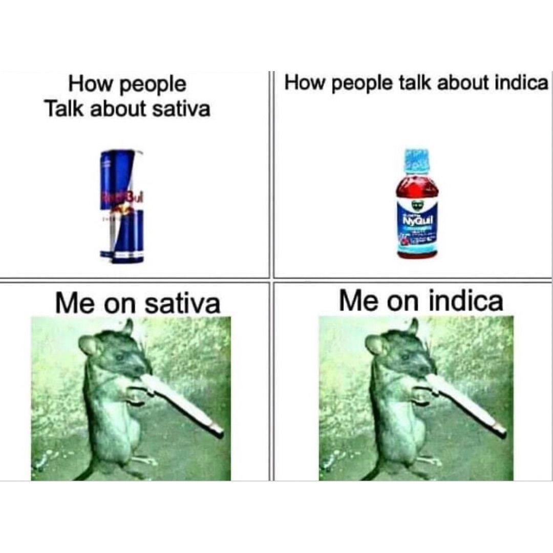 things that i smoke weed to (@stoneythings) on Twitter photo 