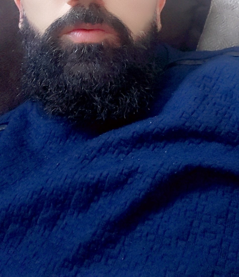 محب الدببة Elian tweet media