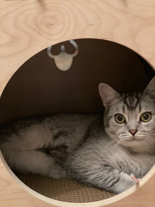 بابای پانی tweet media