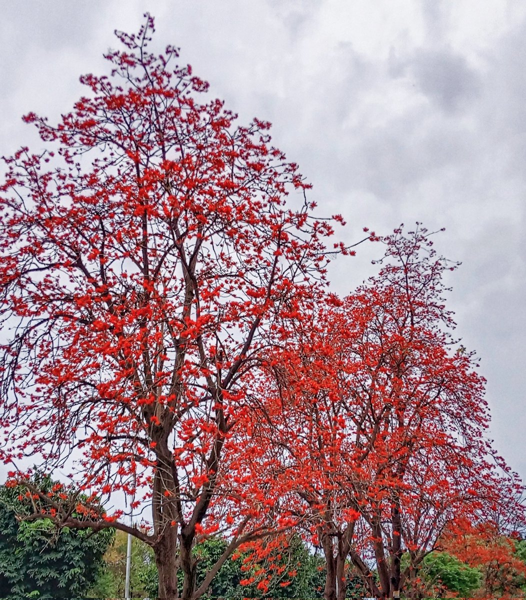 Syed Rizwan Mehboob tweet media