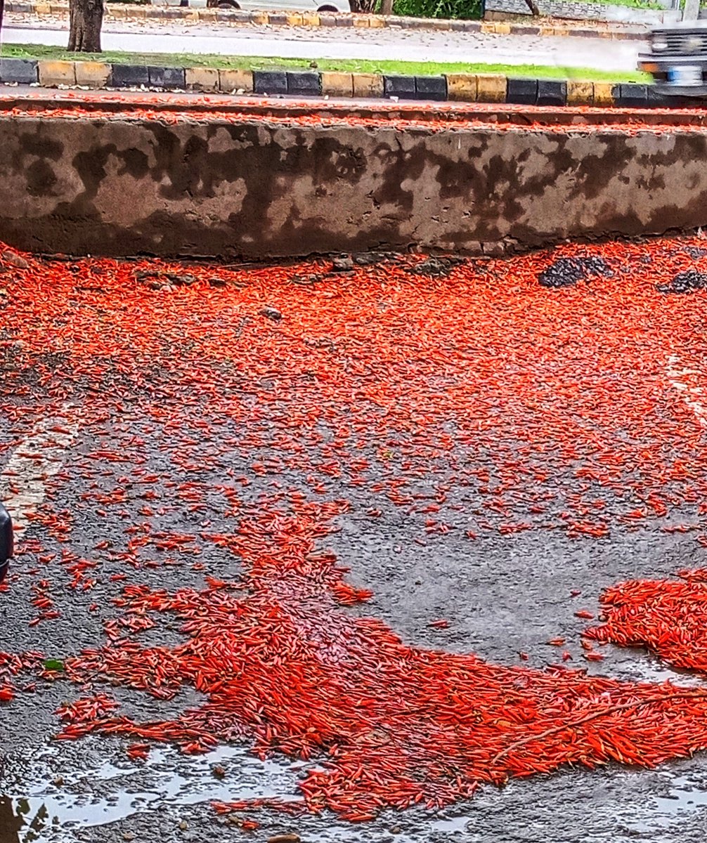 Syed Rizwan Mehboob tweet media