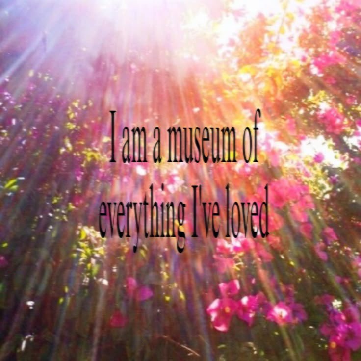 pips🧃 tweet media