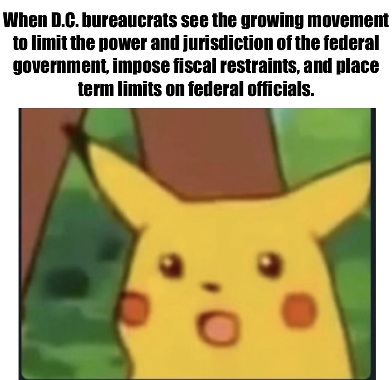 Convention of States tweet media