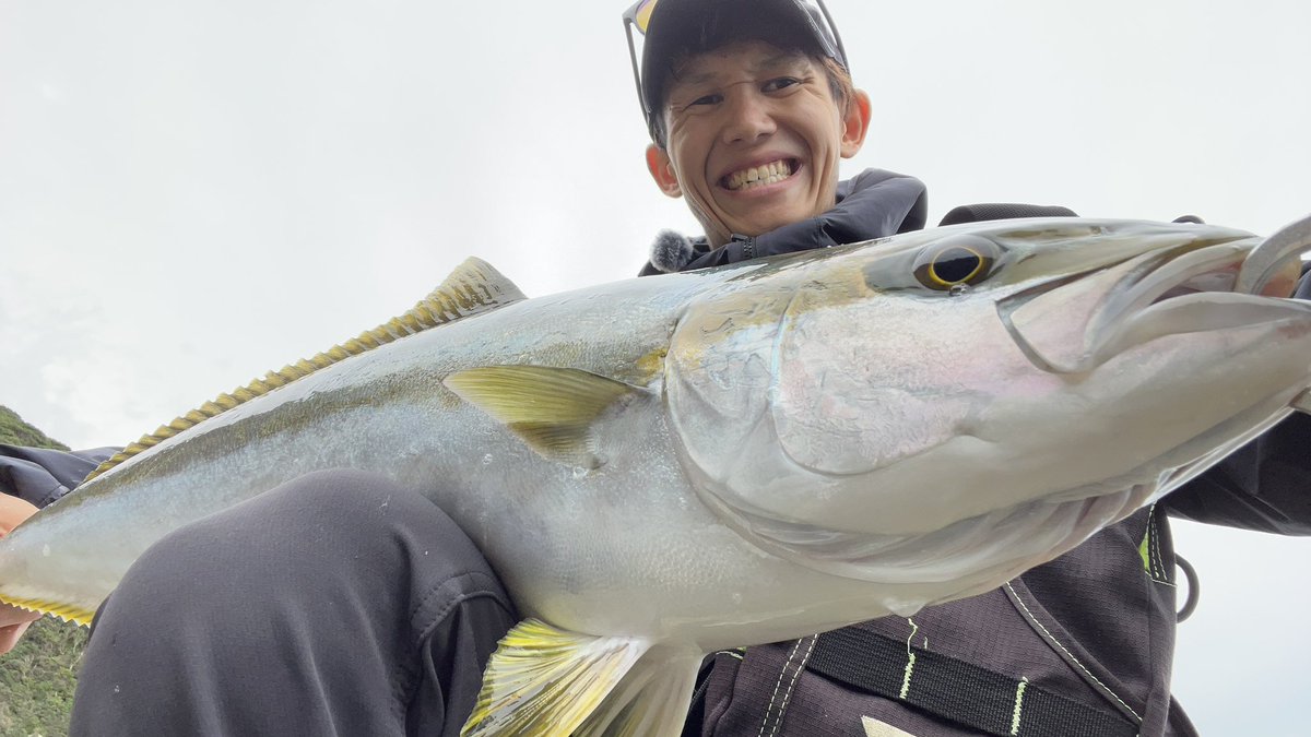 よしろ tweet media