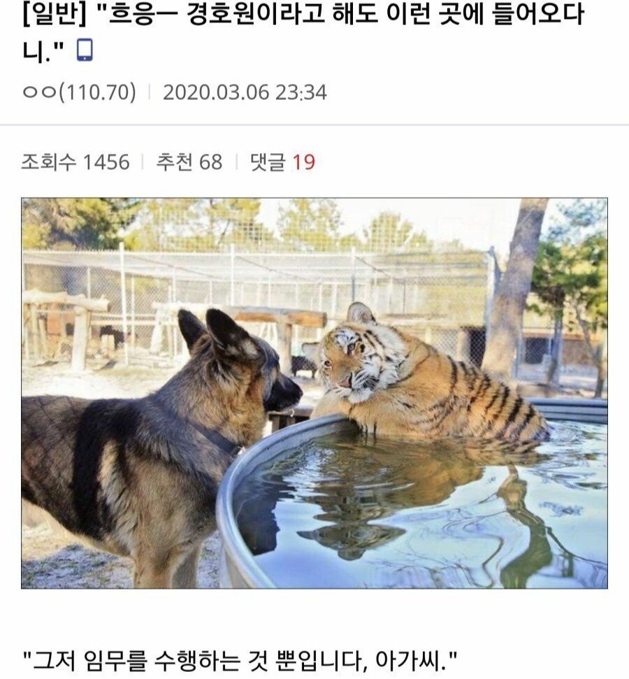 유독성🕯 (@psnpd_) on Twitter photo 