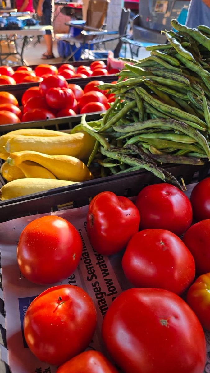 GeorgiaGrown tweet media