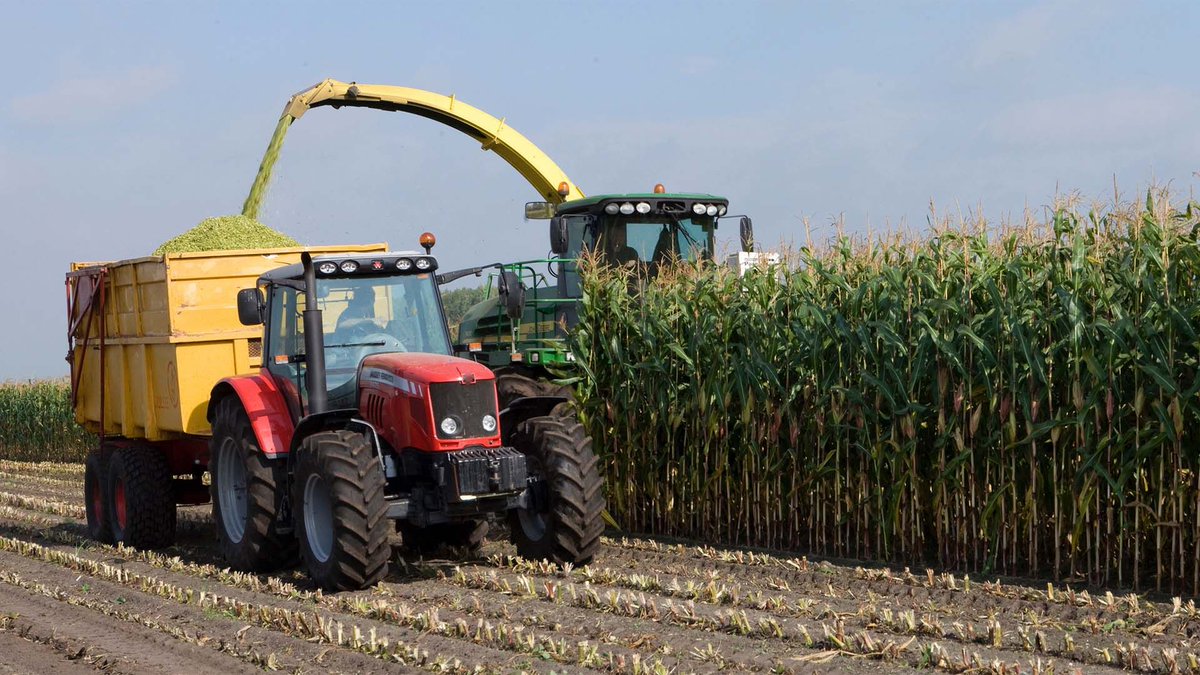 Consell de Cambres de Catalunya Internacional tweet media