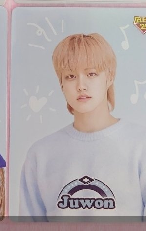 Mimibeom 🌴/🐯🐈‍⬛🌱🚀 tweet media