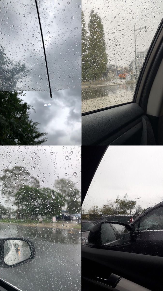 Dan🕊️ tweet media