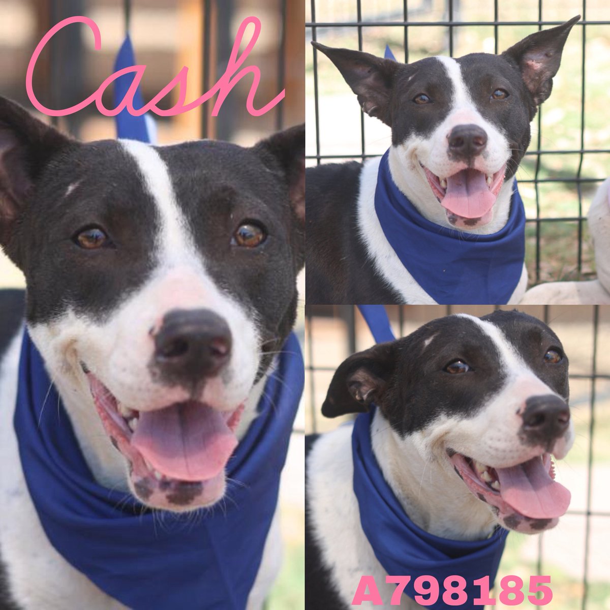 Aurora ⸆⸉ misses Liam ❯❯❯❯ tweet media