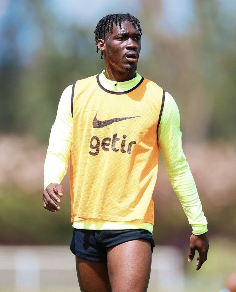 FenerFusion tweet media