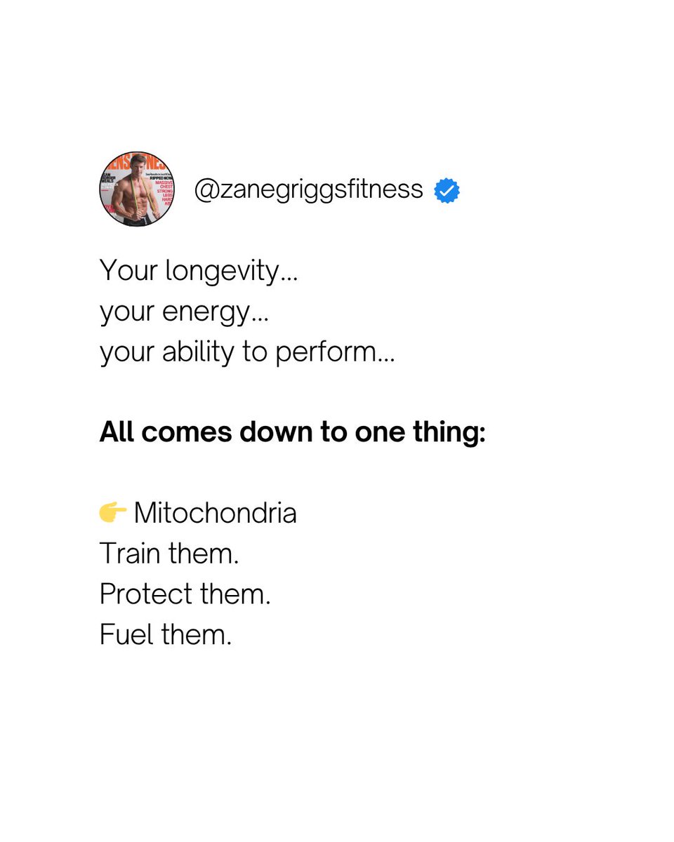 Zane Griggs tweet media