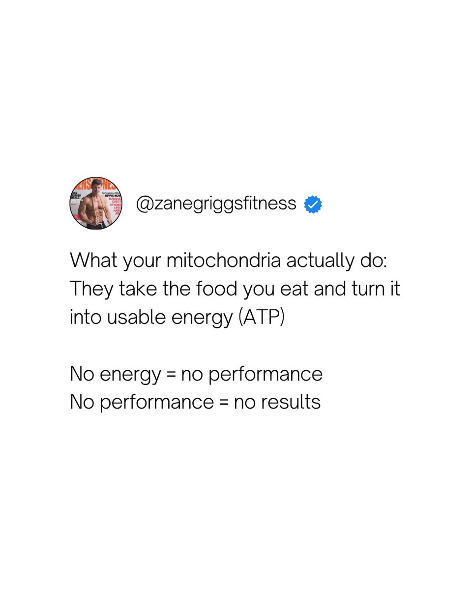 Zane Griggs tweet media