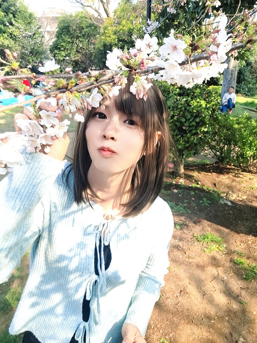 きらり tweet media